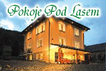 Domki Letniskowe Pokoje Gościnne „Pod Lasem”